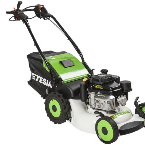 Etesia PRO 53 LCX2 Benzin-Rasenmäher